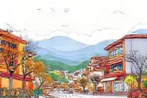 《阳台种菜第200天》封面：泡沫箱与嫩芽